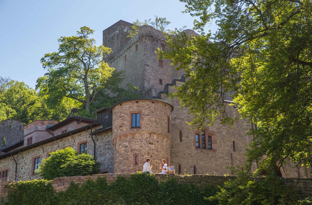 Vieux Château Villa Stéphanie