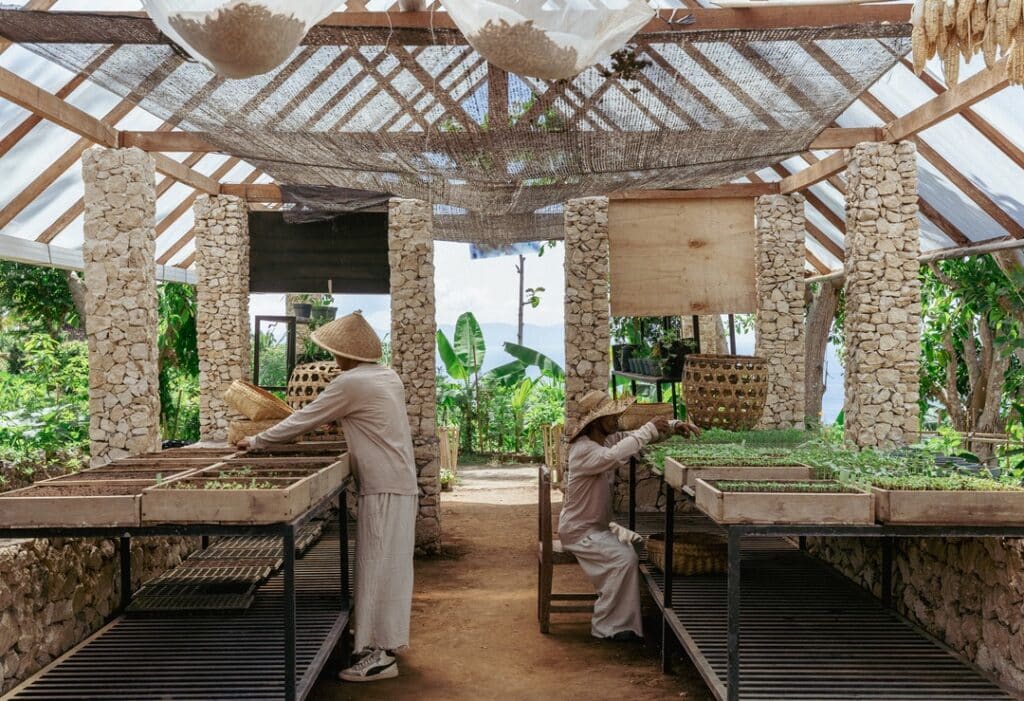 produtos orgânicos