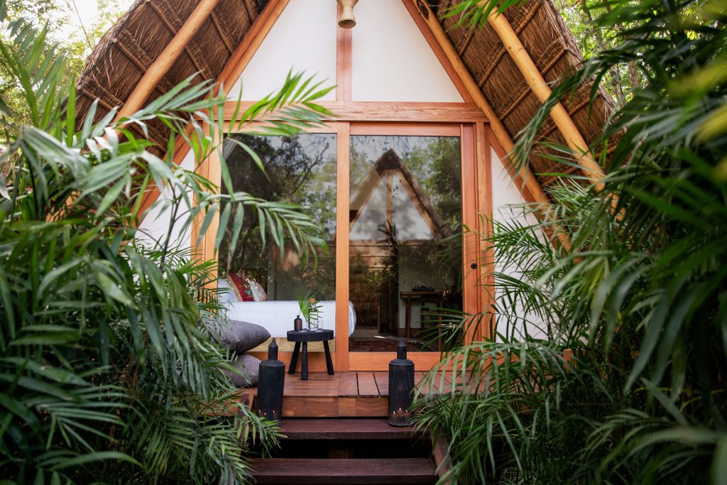 Cabañas rodeadas de selva  