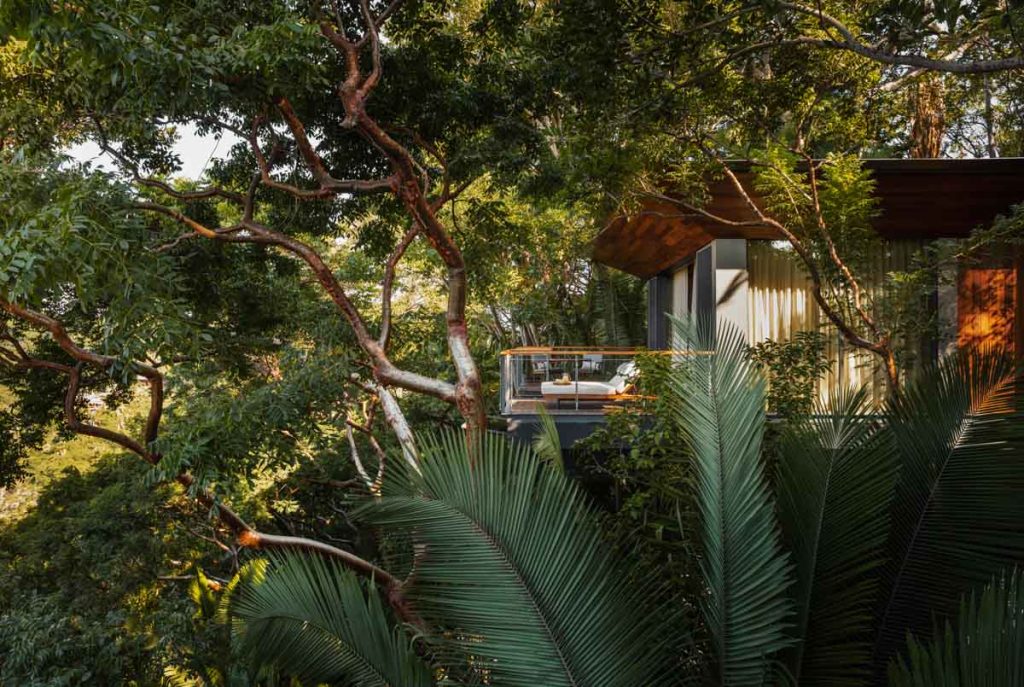 Villa in the trees - One&amp;Only Mandarina