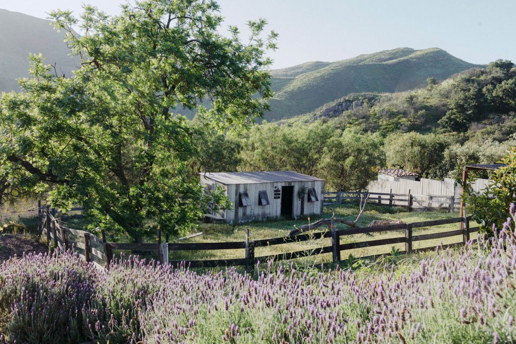 California countryside