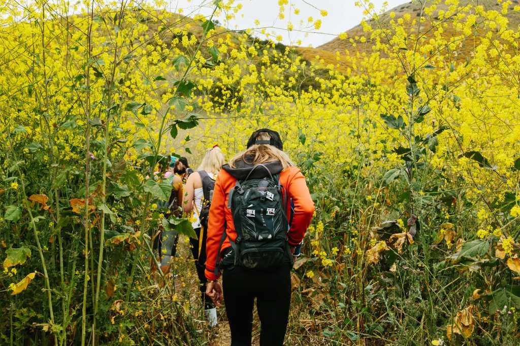 Hiking in the California countryside