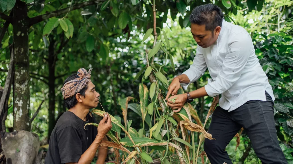 Picking plants in the garden