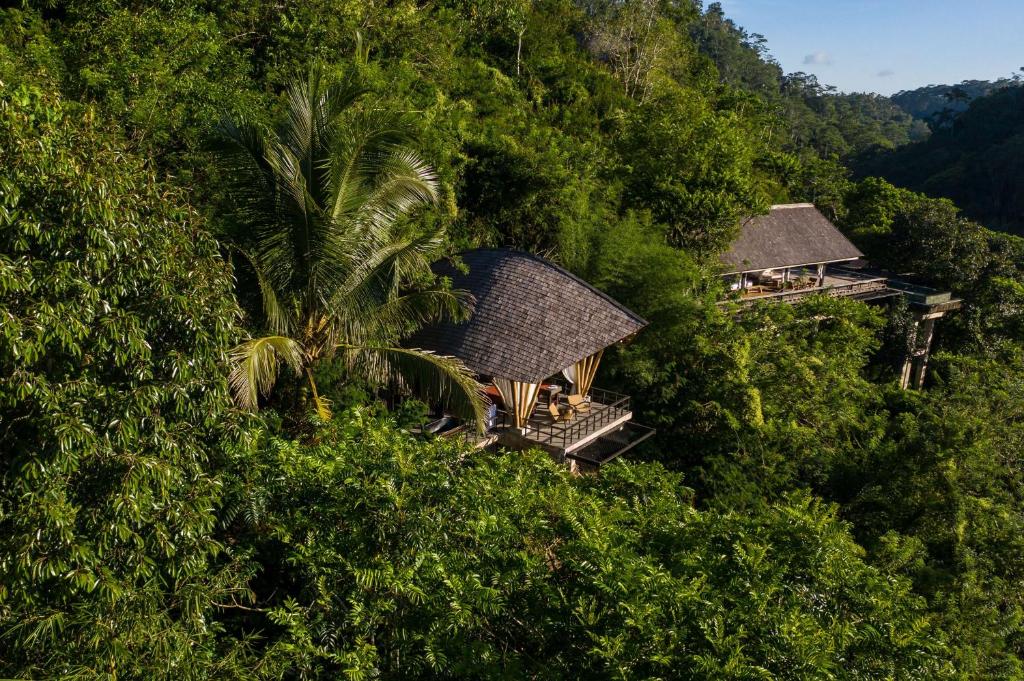 Villas noyées dans la jungle 
