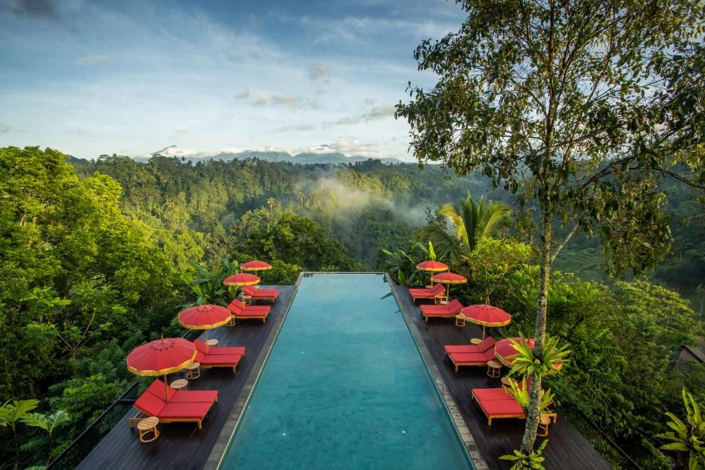 The shared swimming pool, in an exceptional setting