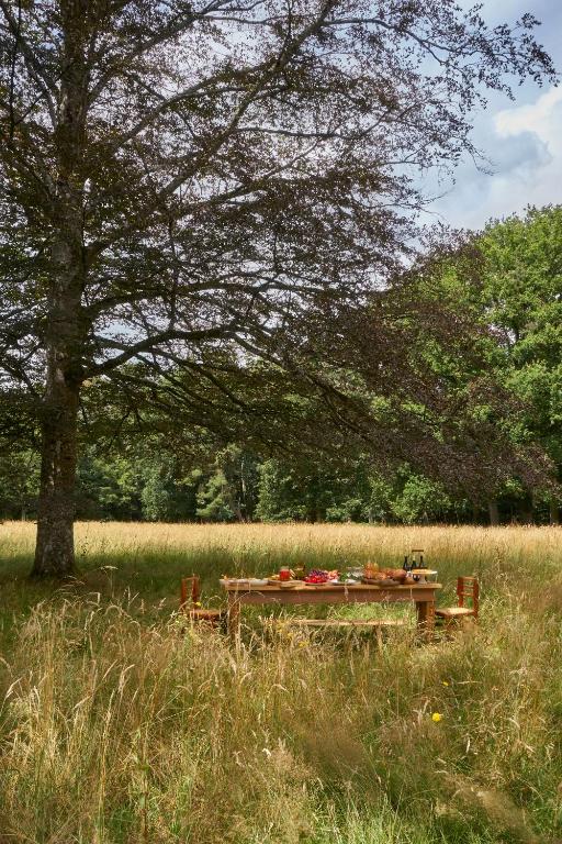 Country-style lunch Sources de Cheverny