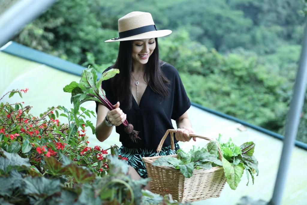 Les produits frais et biologiques du jardin 