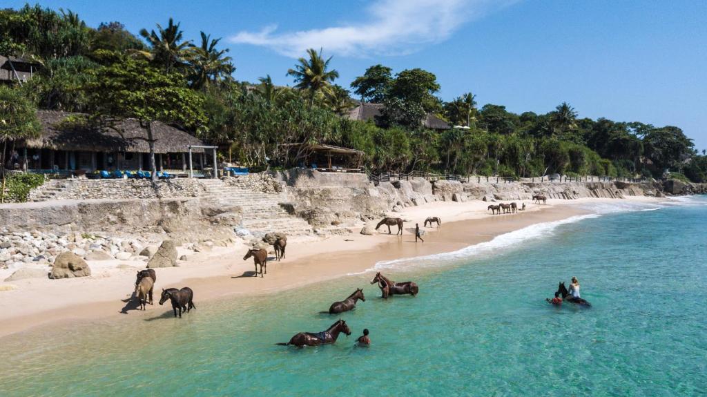 Foto: NIHI Sumba