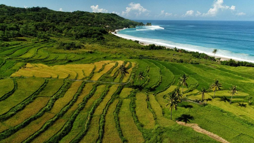 Foto: NIHI Sumba