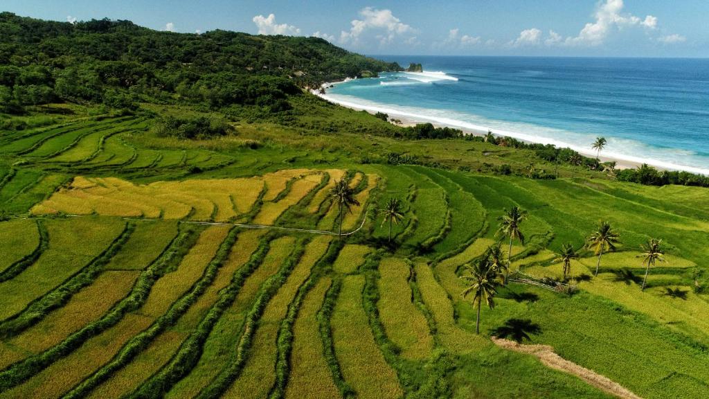 Photo : NIHI Sumba