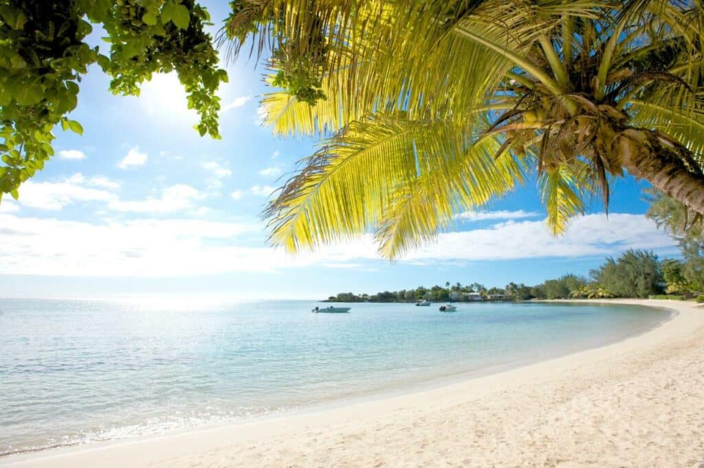 White sand, clear water and coconut palms