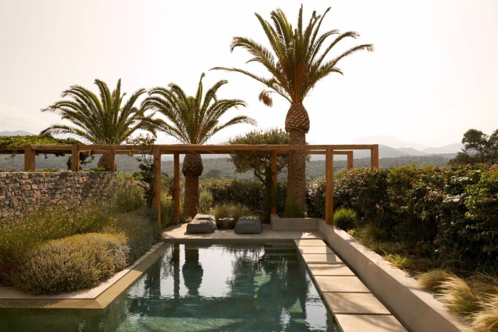 Suite mit Pool Minos Palace Resort
