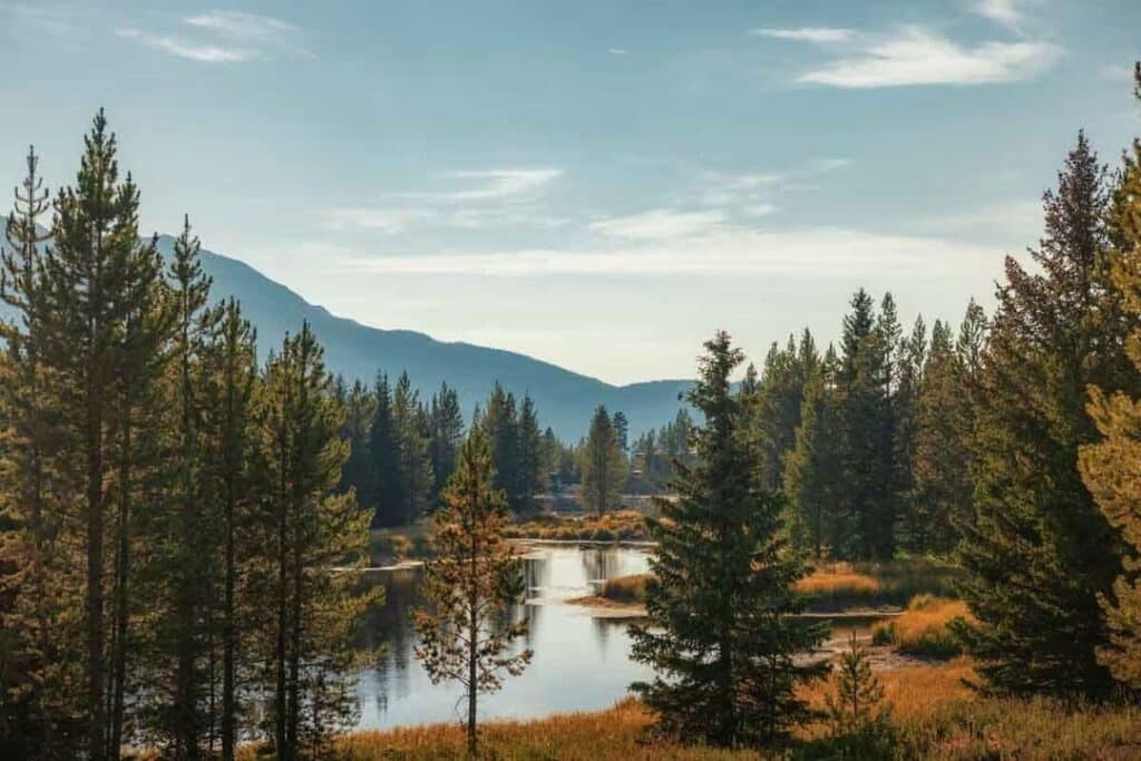 Natureza One&amp;Only Moonlight Basin